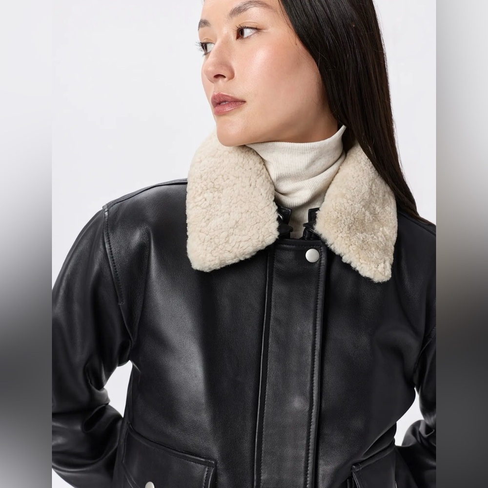 Quince Black 100% Leather Shearling Trim Aviator Jacket Bomber - Picture 4 of 12
